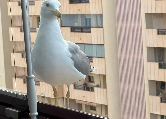 Appartement Flaming Topacio Calp